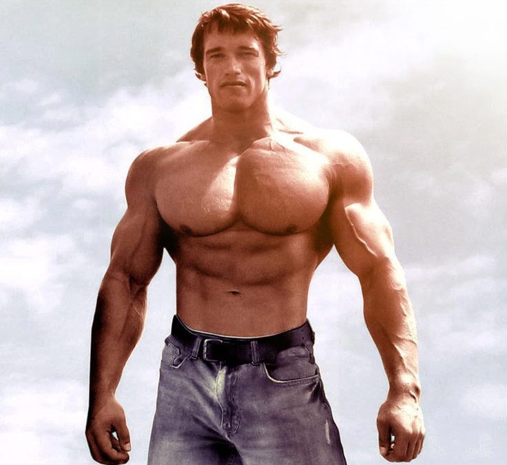 Great Muscular Answers From Arnold Schwarzenegger!